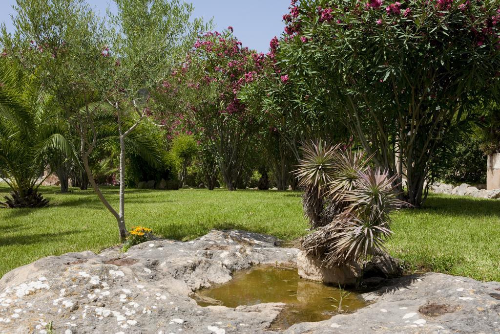 Agroturismo Can Patro ξενώνας Manacor  Εξωτερικό φωτογραφία