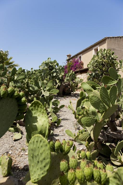 Agroturismo Can Patro ξενώνας Manacor  Εξωτερικό φωτογραφία