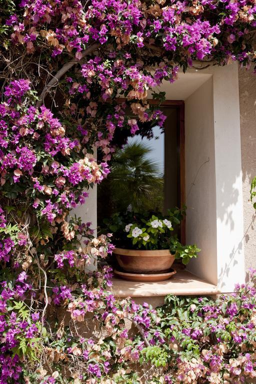 Agroturismo Can Patro ξενώνας Manacor  Εξωτερικό φωτογραφία