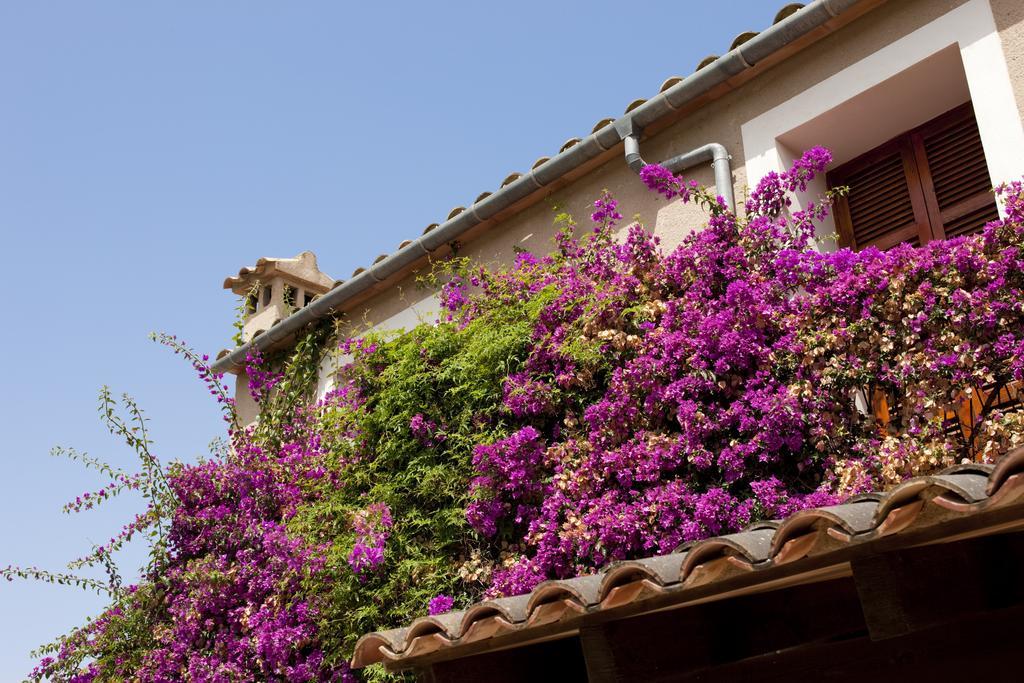 Agroturismo Can Patro ξενώνας Manacor  Εξωτερικό φωτογραφία